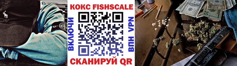 Cocaine Fish Scale  Купить закладки  Ликино-Дулёво 