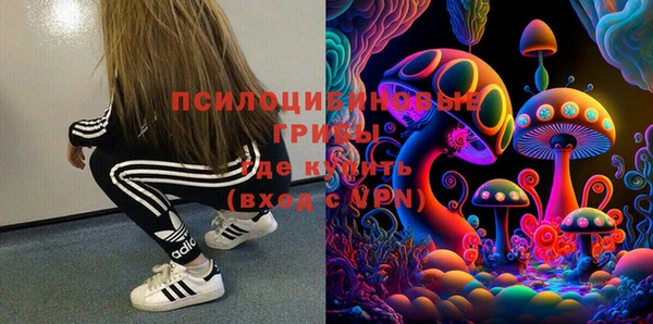 мдпв Гусиноозёрск