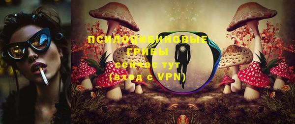 мдпв Гусиноозёрск