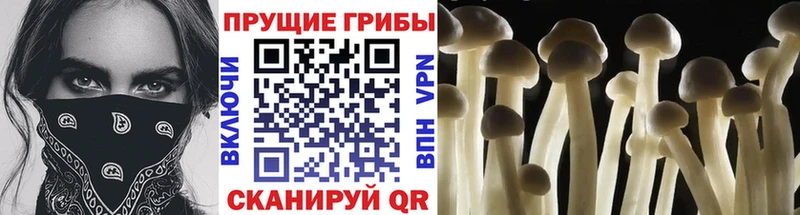 Псилоцибиновые грибы мухоморы  Купить закладки  Ликино-Дулёво 
